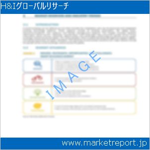 市場と産業調査レポートのイメージ